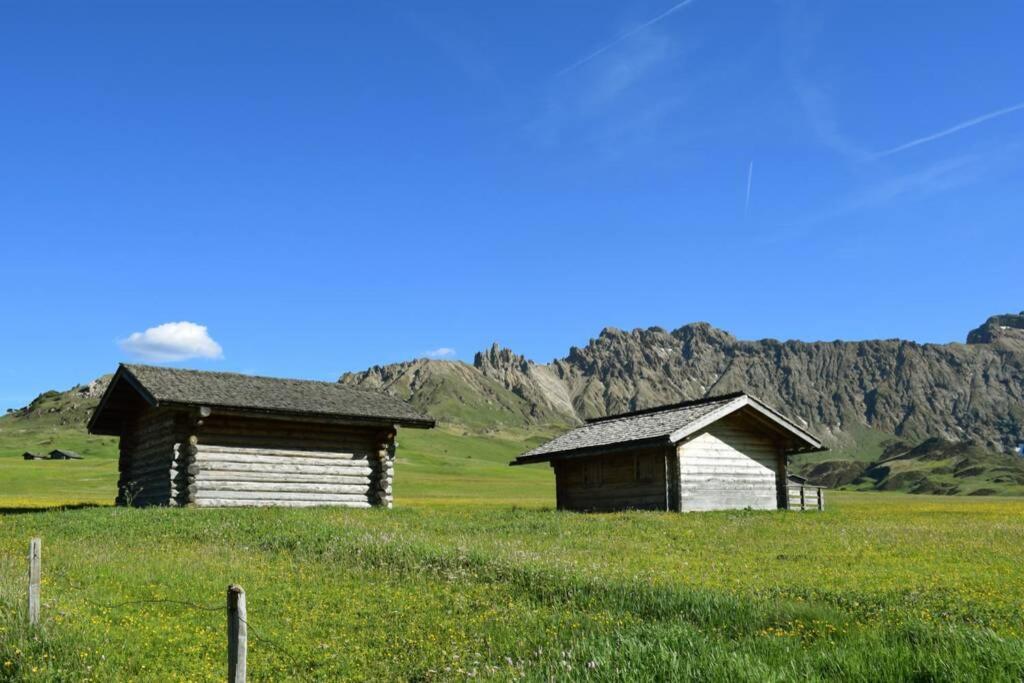 App Schlossblick - Wohnung Hammerwand 2 Umes Exterior foto